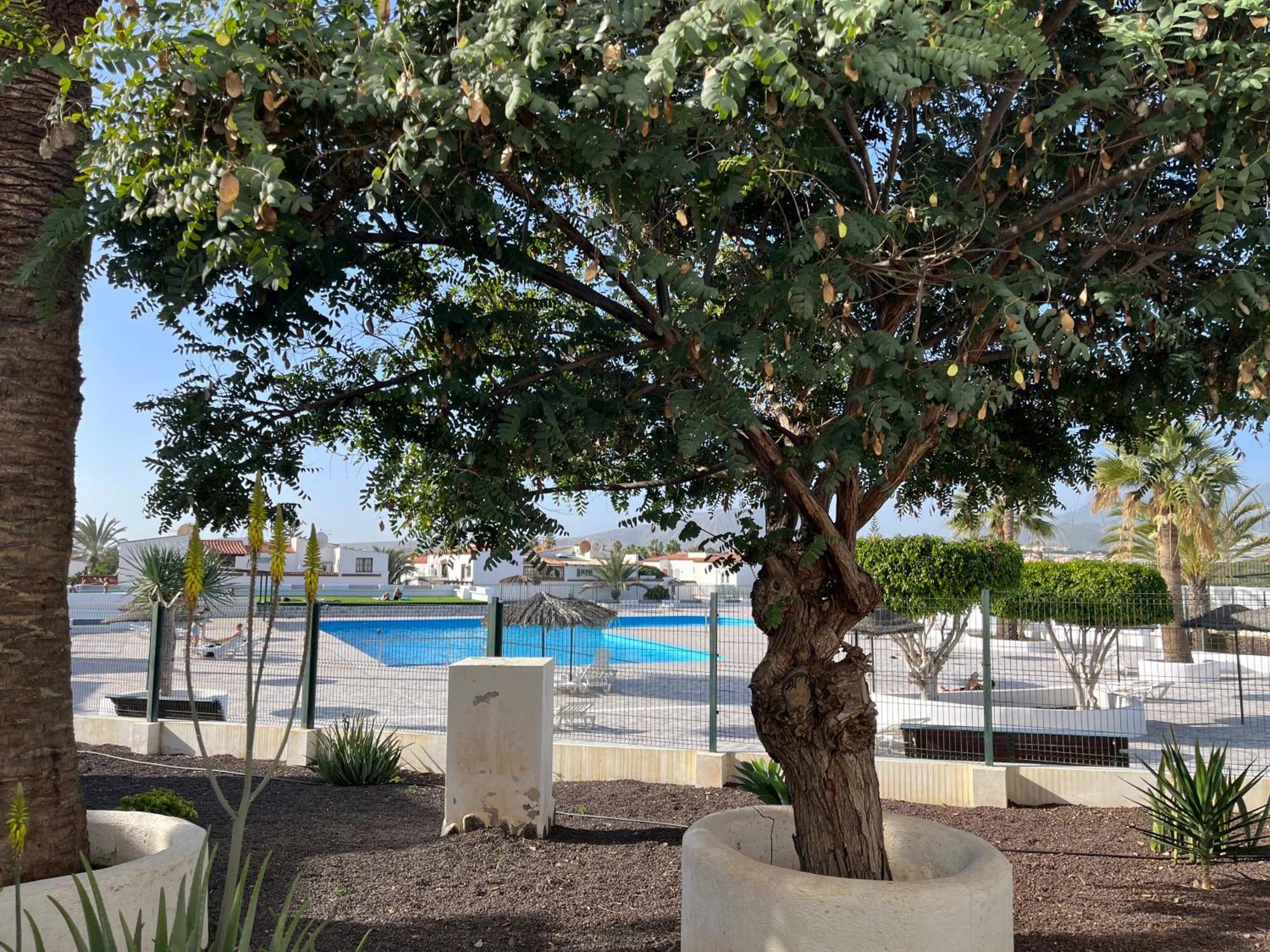 Apartamento Casa Guay Welcome To Your In The Sun!